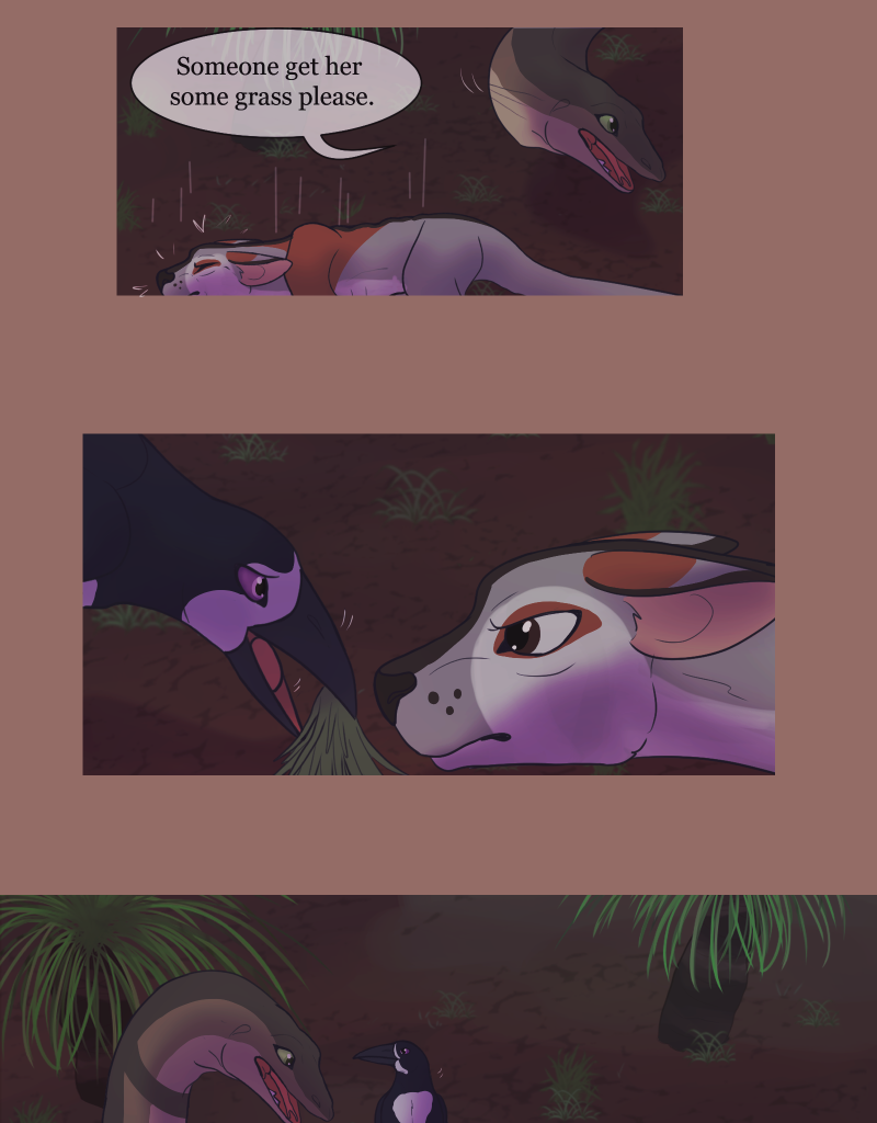 Image 1 Cut
